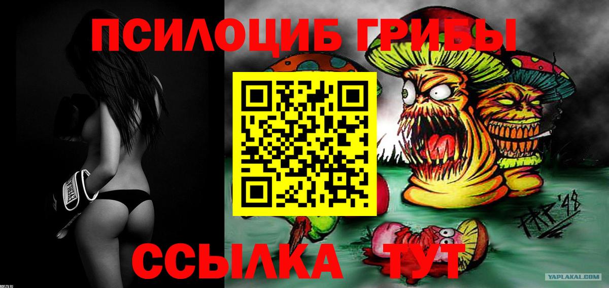 Псилоцибиновые грибы Psilocybine cubensis  где продают наркотики  Вход с VPN  Соликамск  Галлюциногенные грибы прущие грибы 